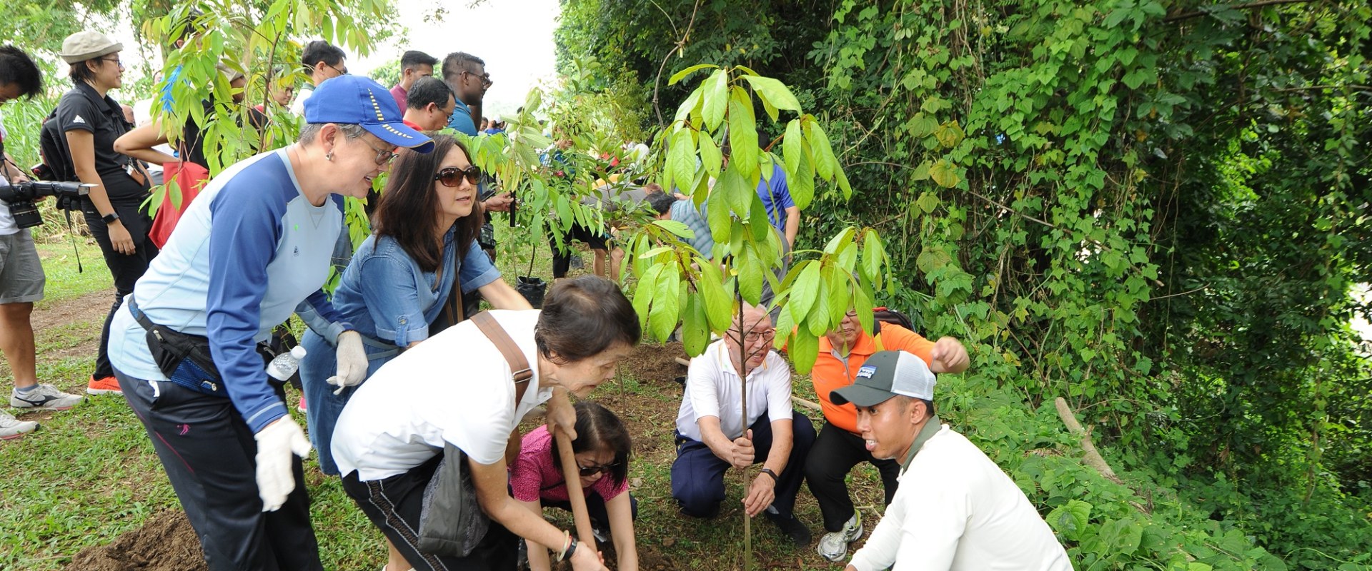 Planting Trees for a Brighter Future