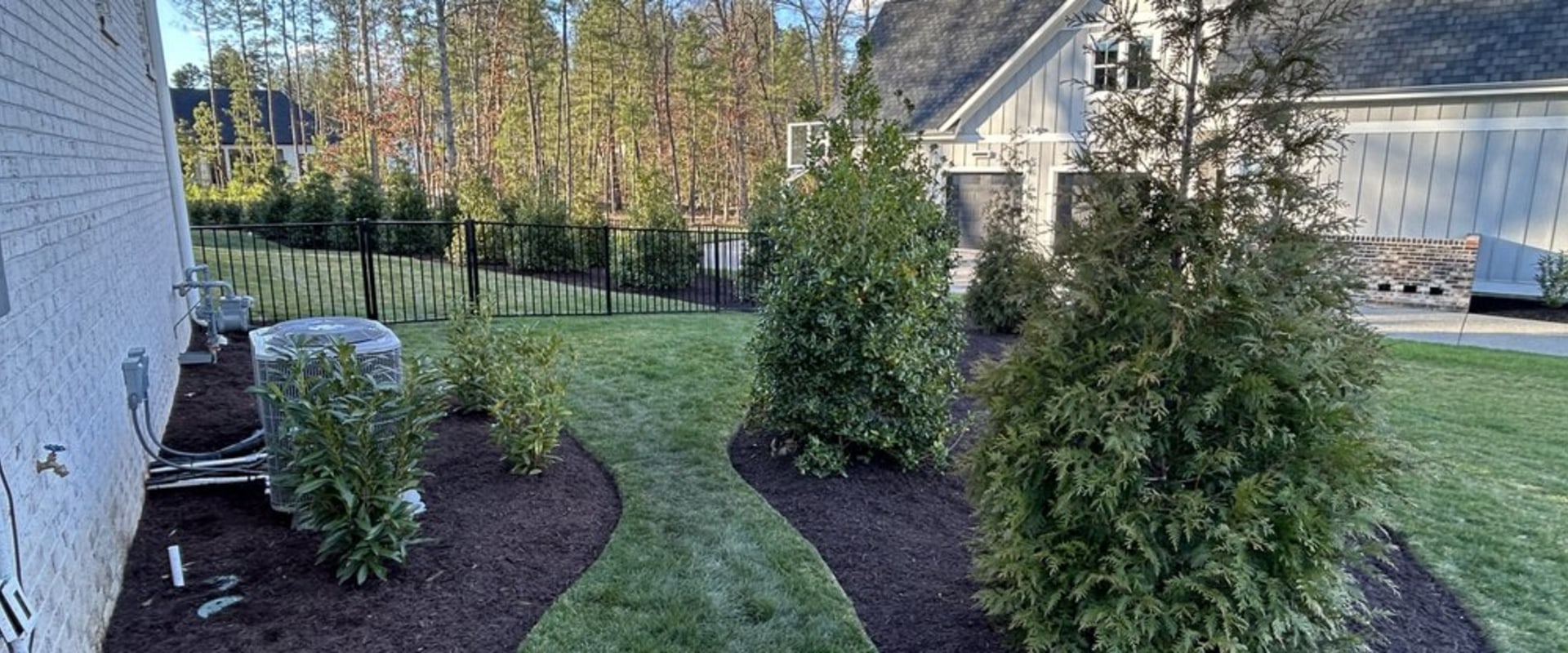 From Lawn To Forest: How Sod Suppliers In Austin, TX Can Help You Achieve The Ideal Tree-Infused Landscape