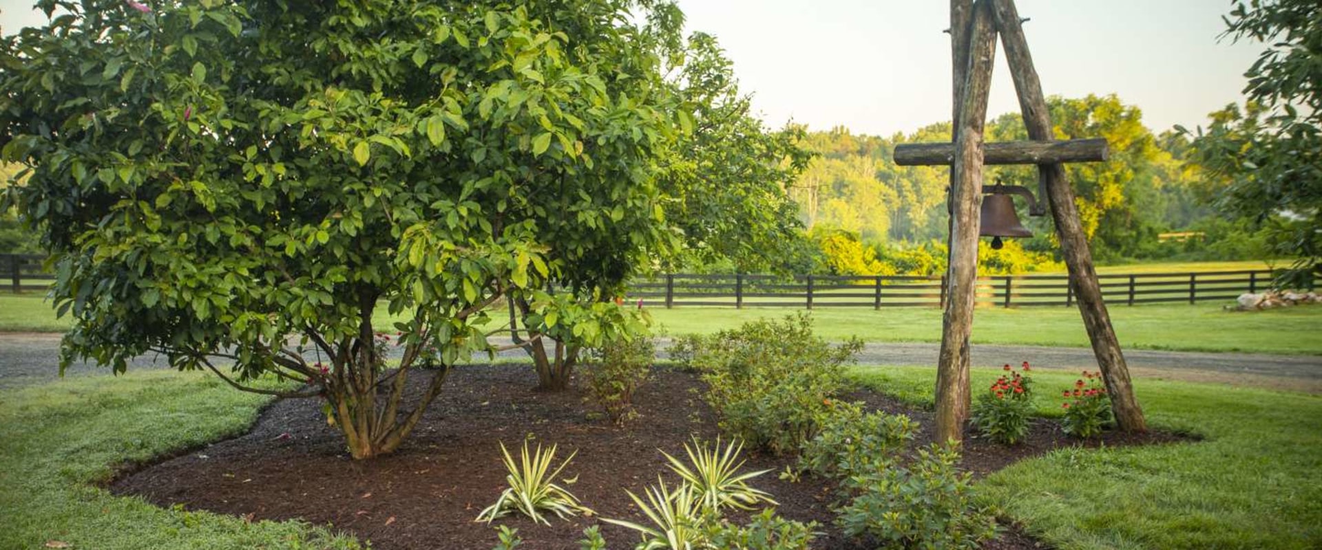Enhance Your Landscape: Lawn Care And Tree Planting For Landscaping Tips For Northern VA Residents