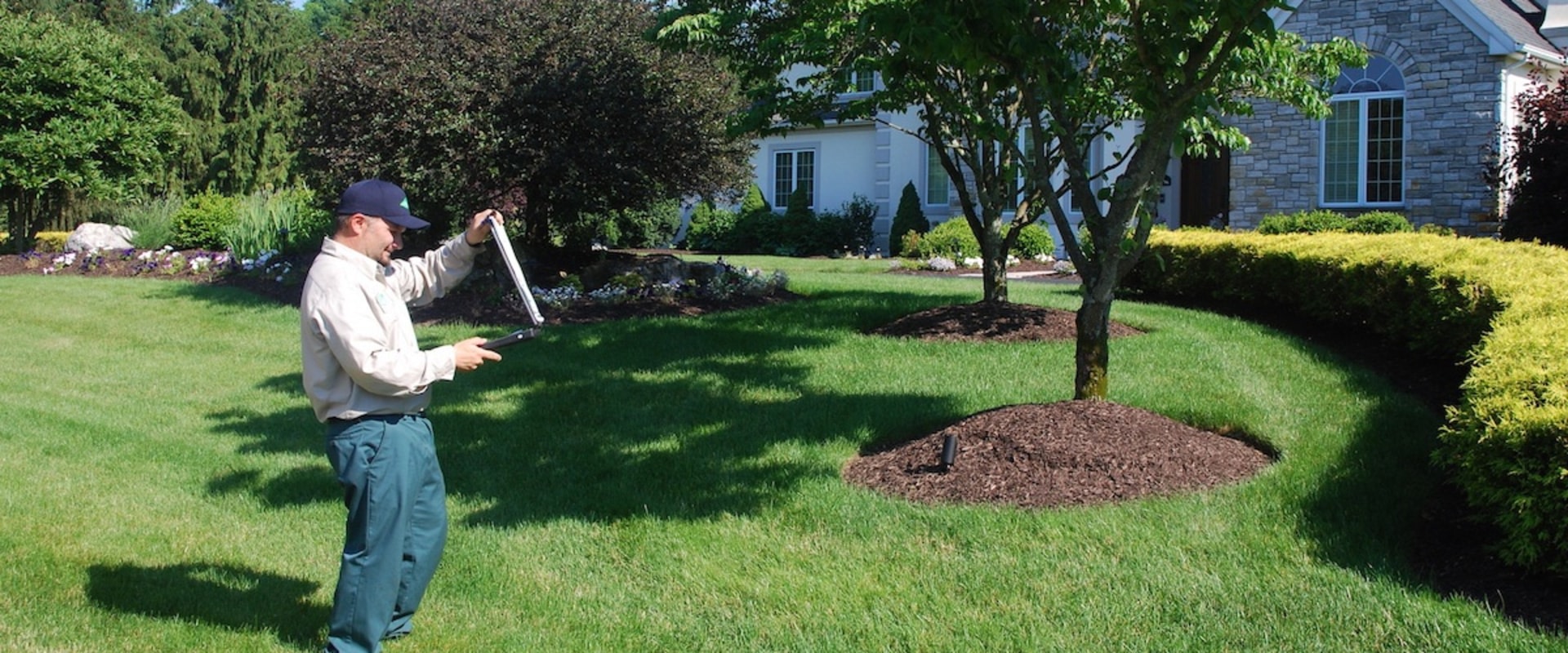 Why You Should Hire A Tree Care Service For Tree Care And Landscape Tree Planting In Pembroke Pines