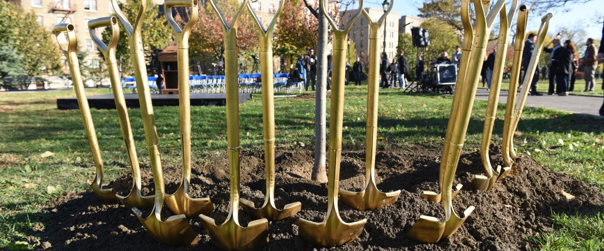 The Benefits of Tree Planting for Air Quality in Cities: A Comprehensive Guide