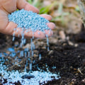 Fertilizing Newly Planted Trees for Landscaping: A Guide for Experts