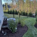From Lawn To Forest: How Sod Suppliers In Austin, TX Can Help You Achieve The Ideal Tree-Infused Landscape
