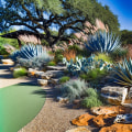 How Can Greater Austin's Yard Be Improved By Expert Tree Care Services And Tree Planting For Landscaping