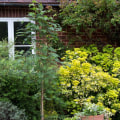 Planting Trees Near Your Home: An Expert's Guide