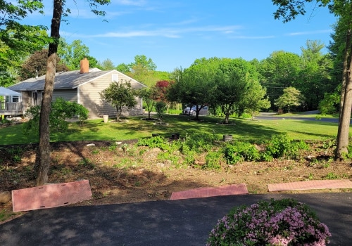 The Value Of Grass Care In Creating A Thriving Landscape After Tree Planting In Derry, NH