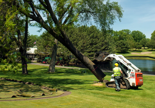 Maximizing Your Landscape's Potential With Trees: The Importance Of Hiring An Arborist For Your Tree Planting Service Needs In Ellisville
