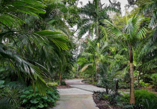 Orlando's Best-Kept Secrets: Top Tree Services For Perfectly Planted Landscaping